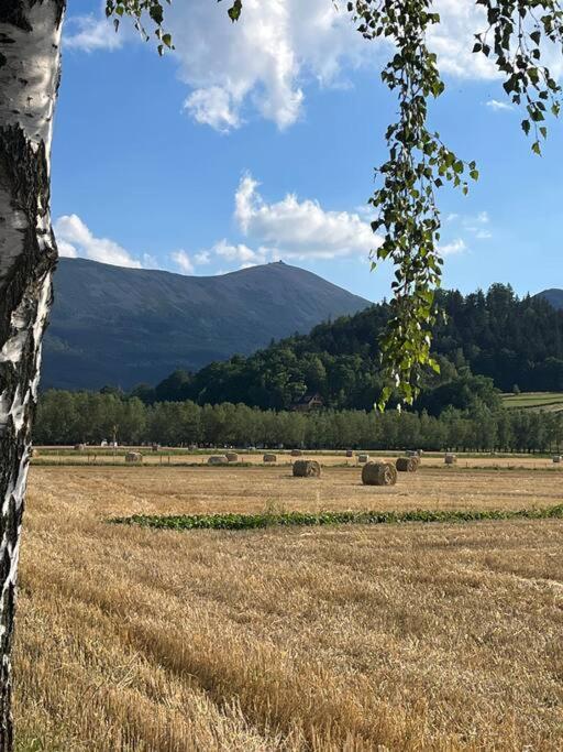 Domek W Karkonoszach Karpacz Bagian luar foto